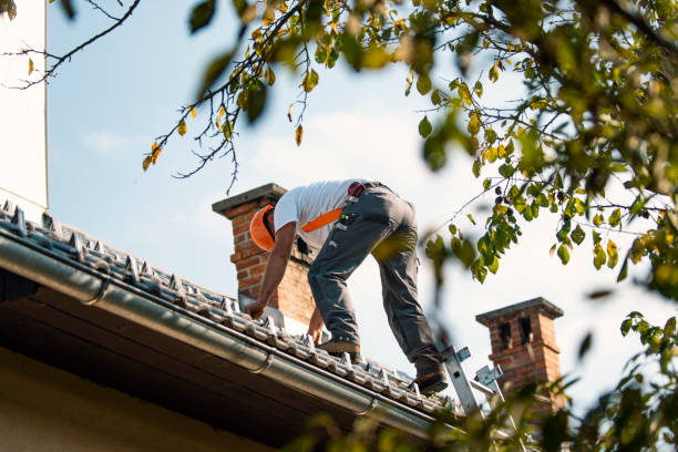 Best Shingle Roofing Installation  in La Nte, MO