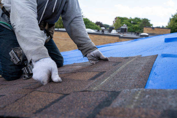 Best Emergency Roof Repair  in La Nte, MO