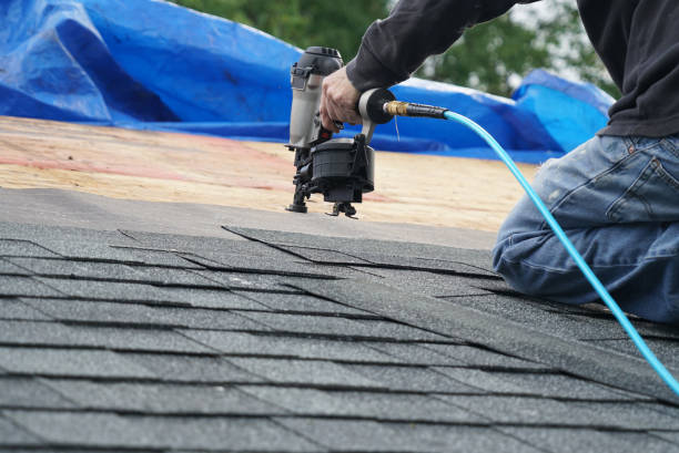 Professional Roofing Contractor in La Monte, MO