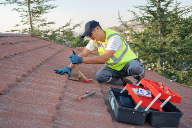 Best Roof Gutter Cleaning  in La Nte, MO