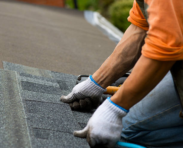 Best Commercial Roof Installation  in La Nte, MO