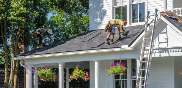 Best Roof Maintenance Services  in La Nte, MO
