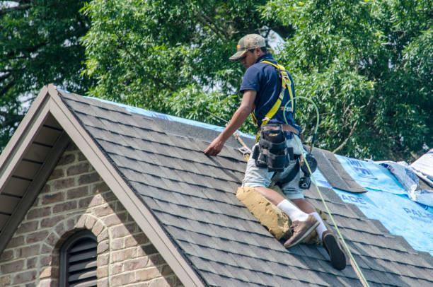 Best Commercial Roofing Services  in La Nte, MO