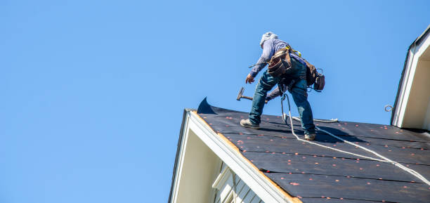 Best Roof Gutter Cleaning  in La Nte, MO